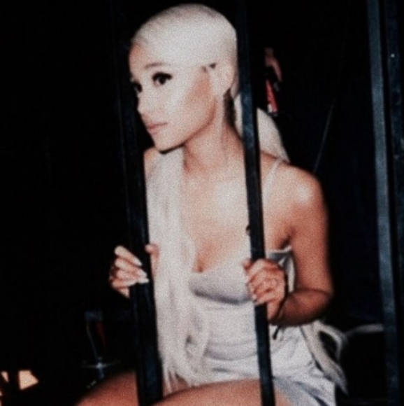 Meet your Posher, Luno - Picture 10 of 16